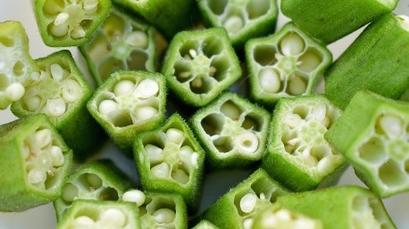 Os produtores da irrigação pública estadual irão produzir sementes no alto?