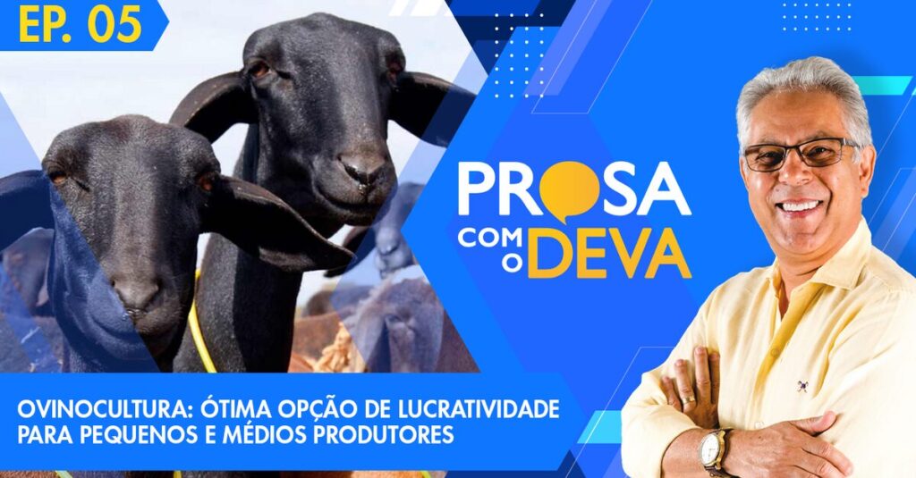 Ovinocultura: lucro garantido? 39 Ovinocultura, uma ótima opção de lucratividade