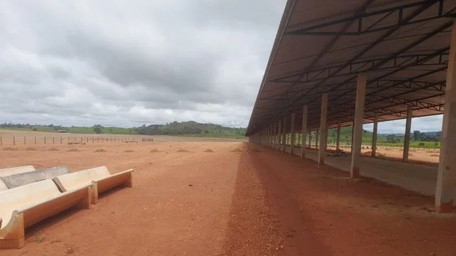 Pecuarista de Rondônia investe alto em confinamento, acreditando no mercado? 2 “Eu acredito no mercado”, diz pecuarista de Rondônia ao investir alto em confinamento