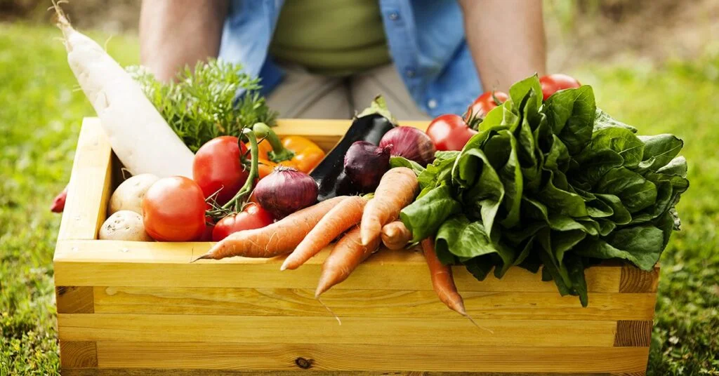 Plano Safra: Sua previsão está sendo cumprida? 8 previsão para o Plano Safra da agricultura familiar está sendo cumprida • Portal DBO