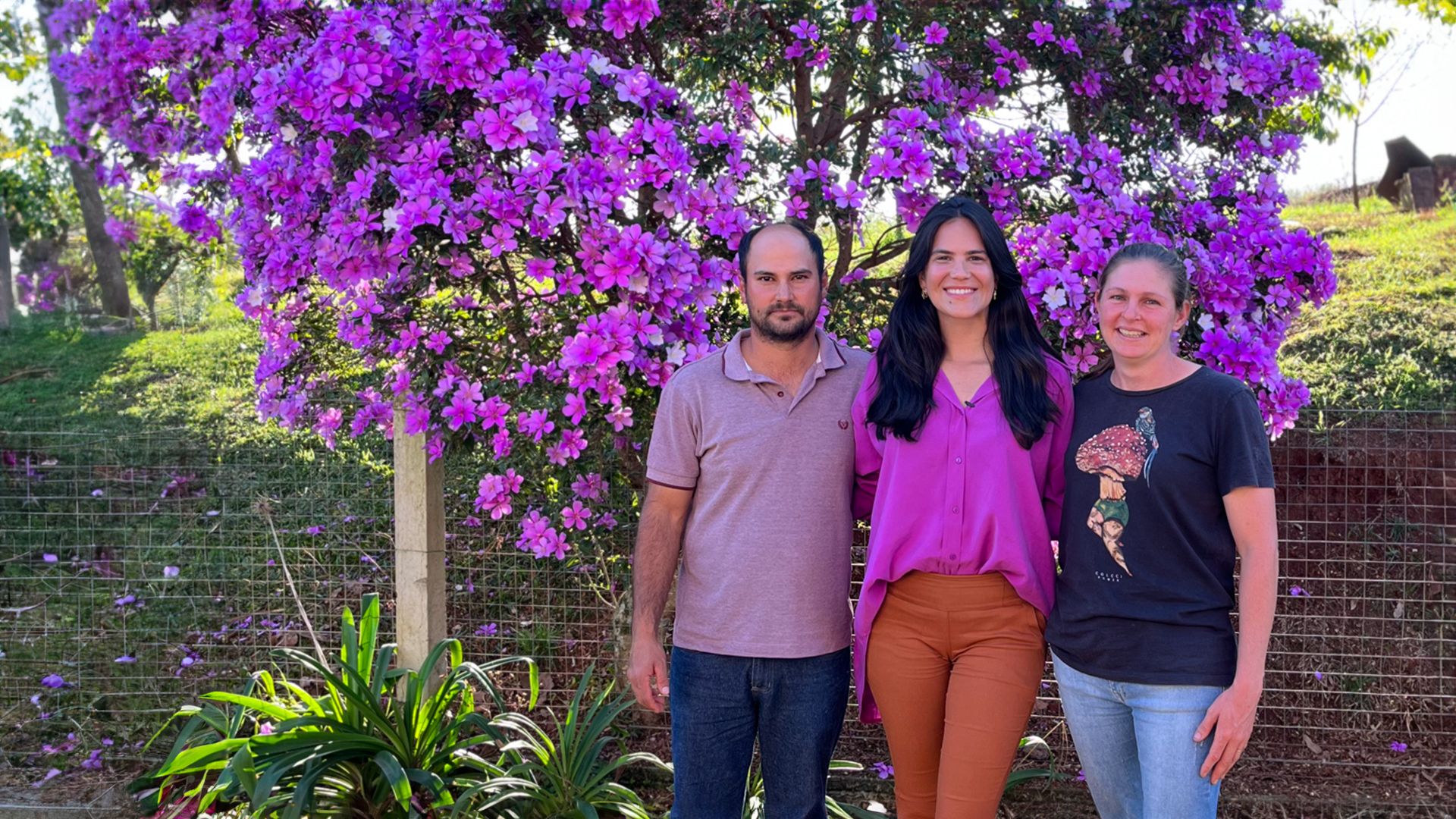 Por que a suinocultura se destaca em uma propriedade diversificada de família?