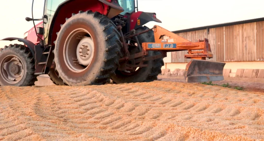 Por que e como fazer? 2 como e por que fazer?