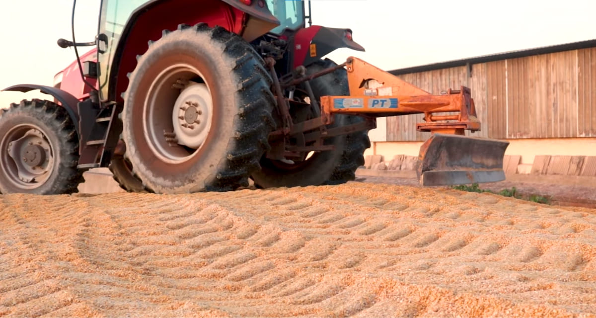 Por que e como fazer?