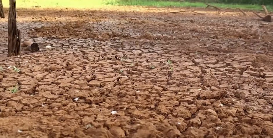 Por que o governo acionou usinas termoelétricas em Rondônia devido à estiagem?