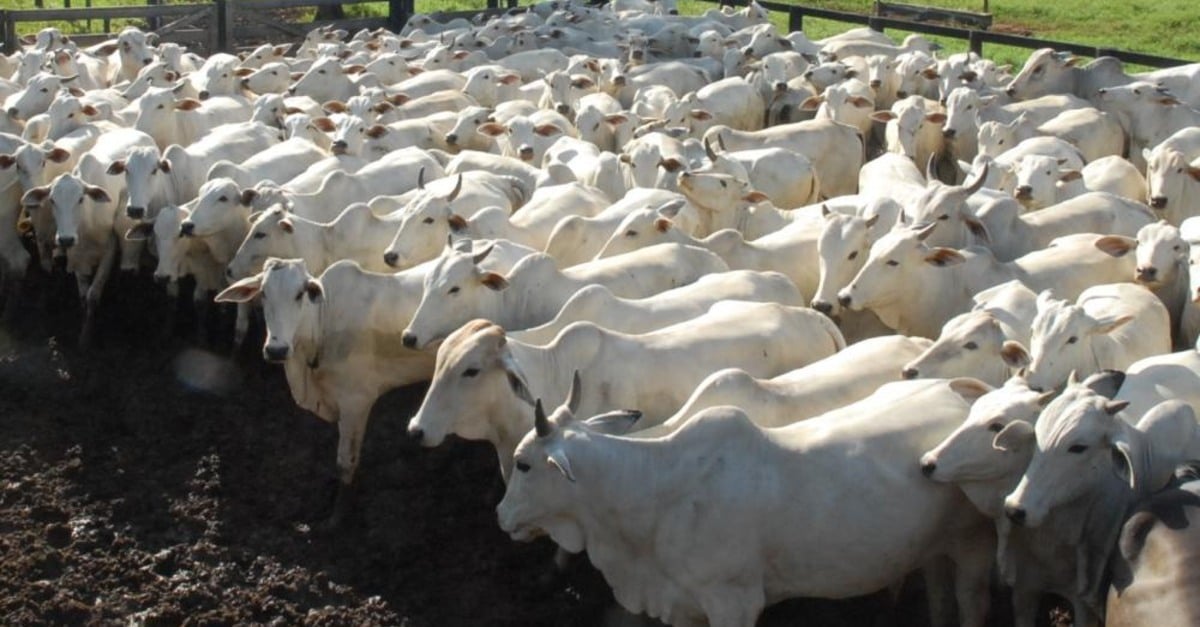 Preços no Brasil: surpreenda-se!