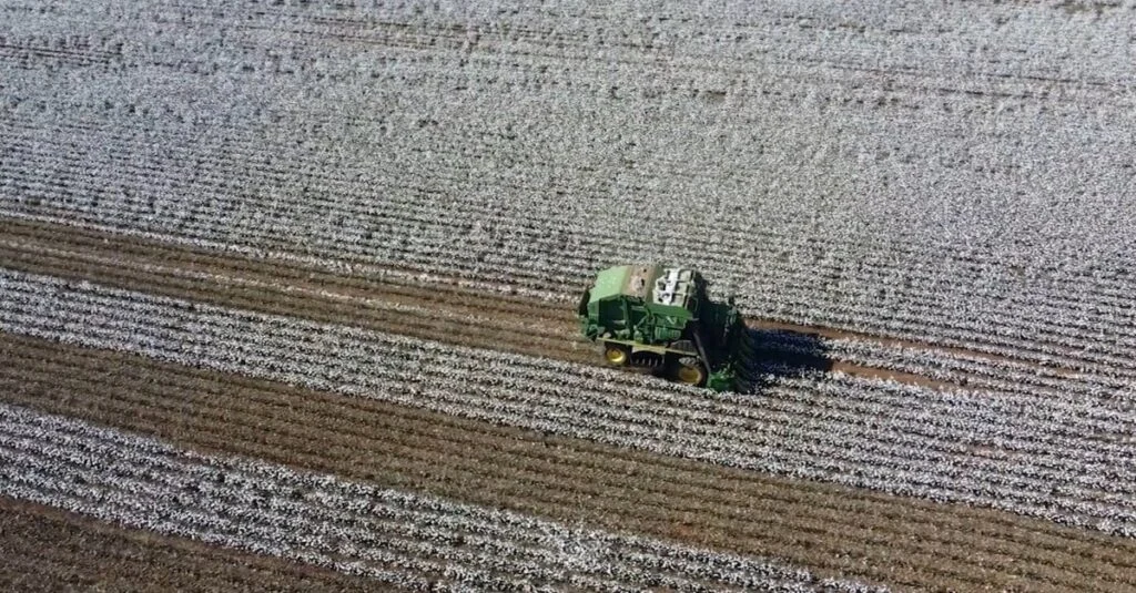 Preços no Brasil caem, NY vive volatilidade? 8 preços recuam no Brasil, enquanto Nova York tem sessão volátil