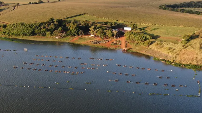 Projetos de aquicultura com R$10 mi em jogo: Inscreva-se já! 2 Inscrições abertas para seleção de projetos de aquicultura; recursos somam R$ 10 milhões