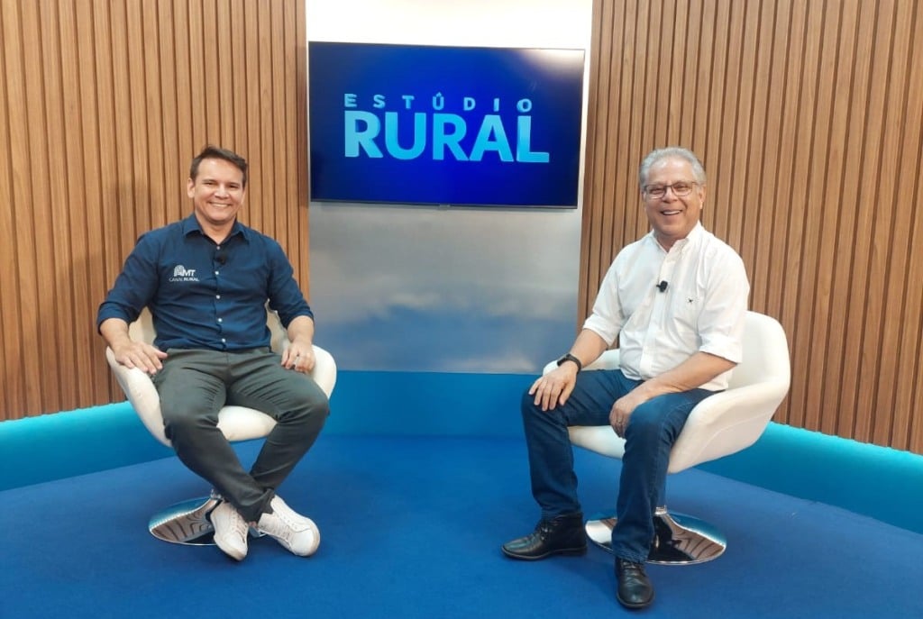 Quais são as evidências do avanço da pecuária através dos abates de bovinos jovens?