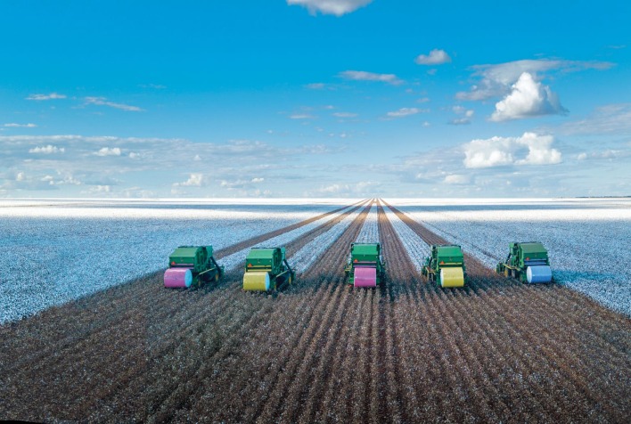 Quais são as expectativas para a safra 2023/2024 de algodão na Bahia, considerando que a colheita já foi finalizada?