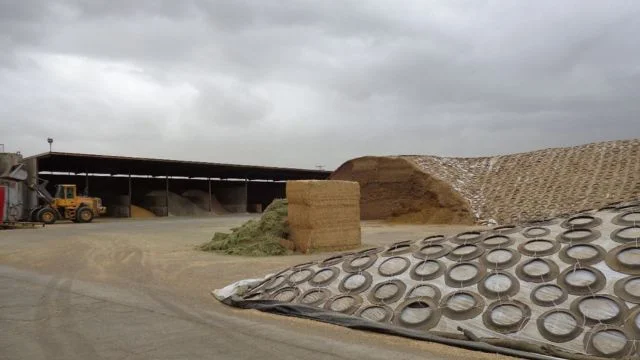 Vedação tecnológica: conheça as opções de lona para proteger a silagem