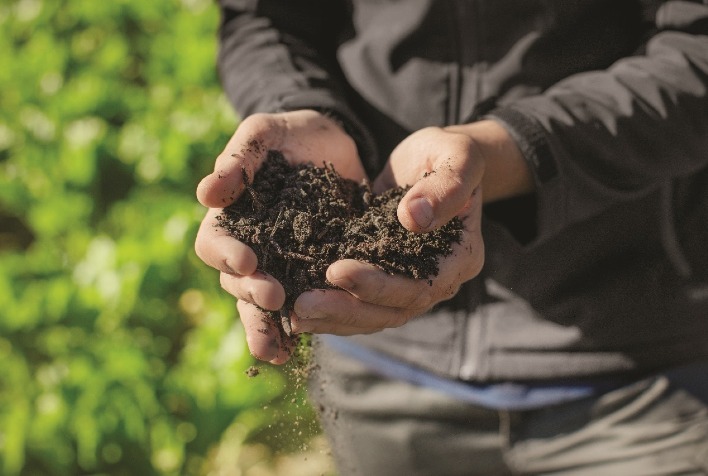 Quais são os avanços científicos apresentados por Bayer, Embrapa e especialistas para impulsionar a agricultura de baixo carbono?