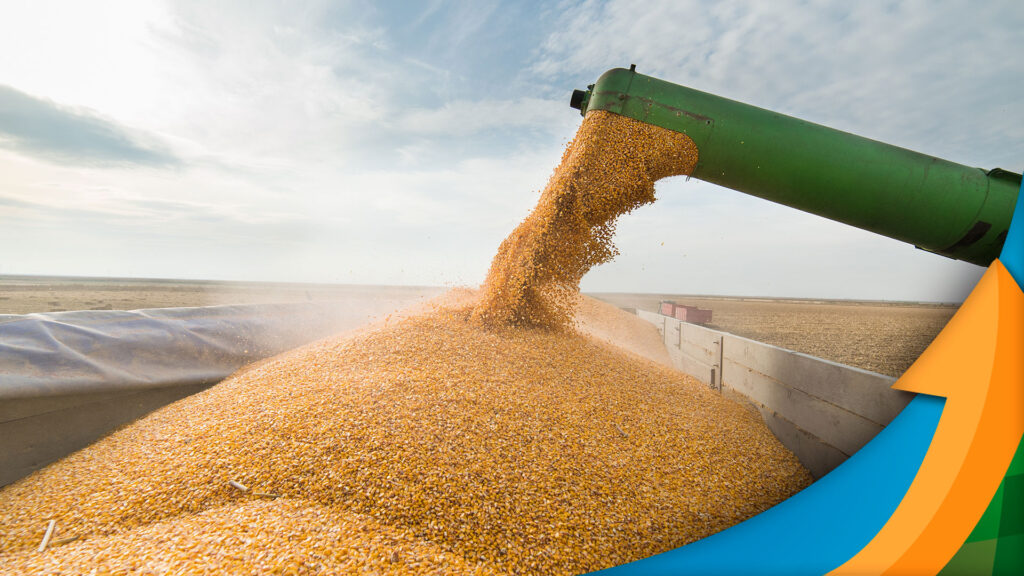 quais sao os fatores relacionados a evolucao das culturas que contribuem para o aumento da produtividade da soja brasileira