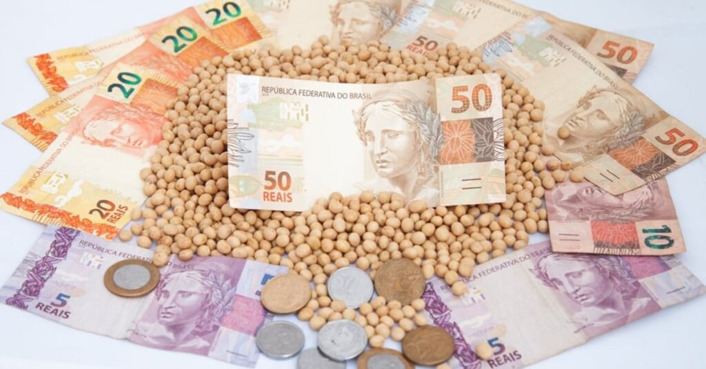 Confira os preços domésticos e futuros da soja nesta sexta-feira