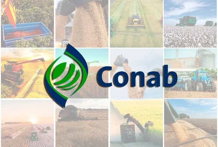 Qual é a estimativa de produção de toneladas para a safra 2023/24 de acordo com o primeiro levantamento da Conab? 2 qual e a estimativa de producao de toneladas para a safra 2023 24 de acordo com o primeiro levantamento da conab