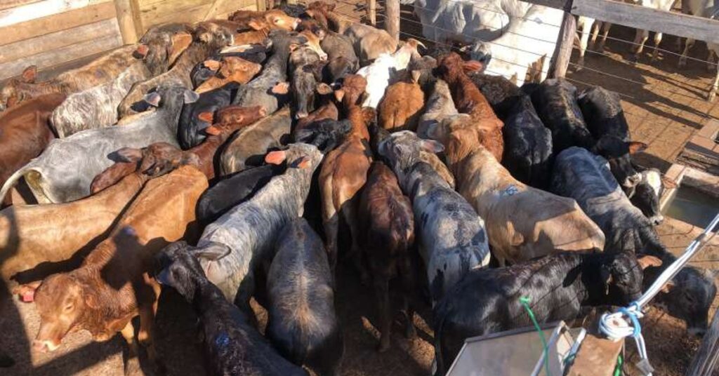 qual e a media geral de renda em aquidauana que e de r 1 928 de acordo com o portal dbo 1