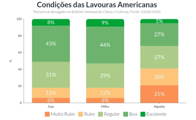 Qual é a perspectiva da safra de soja e milho nos EUA? 8 Safra de soja e milho não tem salvação nos EUA: ENTENDA