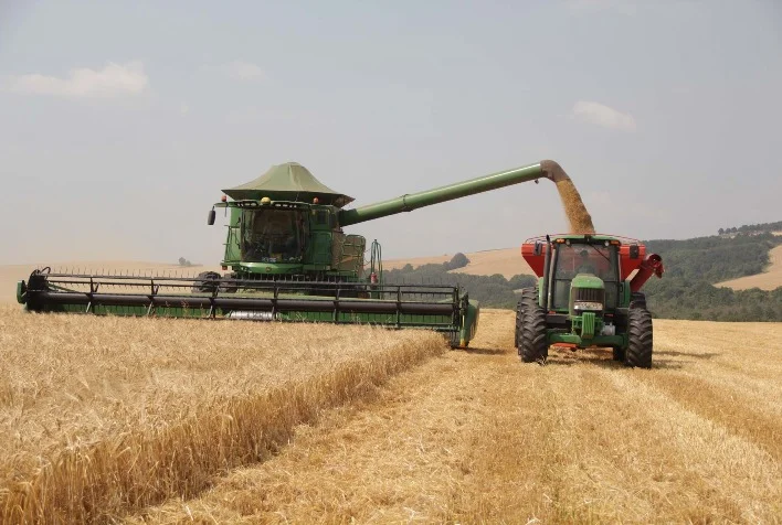Qual é a porcentagem atual de área colhida de cevada nas unidades da Capal? 5 qual e a porcentagem atual de area colhida de cevada nas unidades da capal