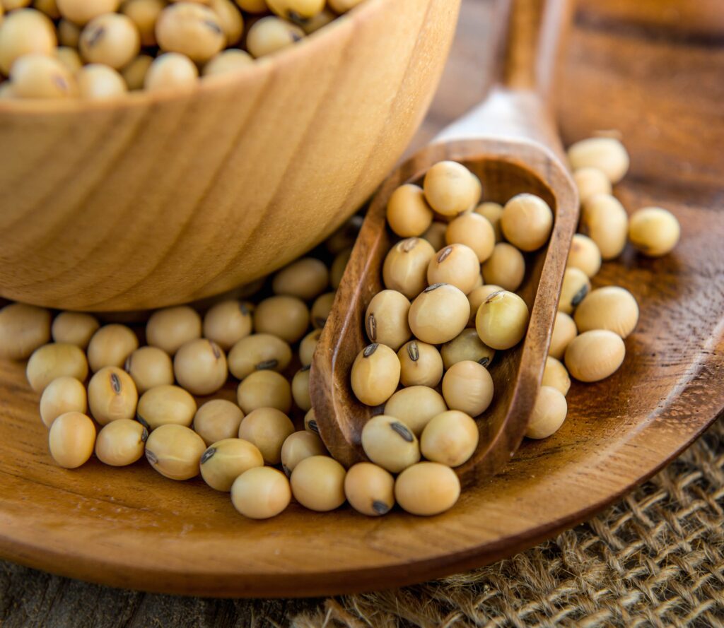 qual e a porcentagem da safra de soja 2023 24 que e comercializada por mato grosso