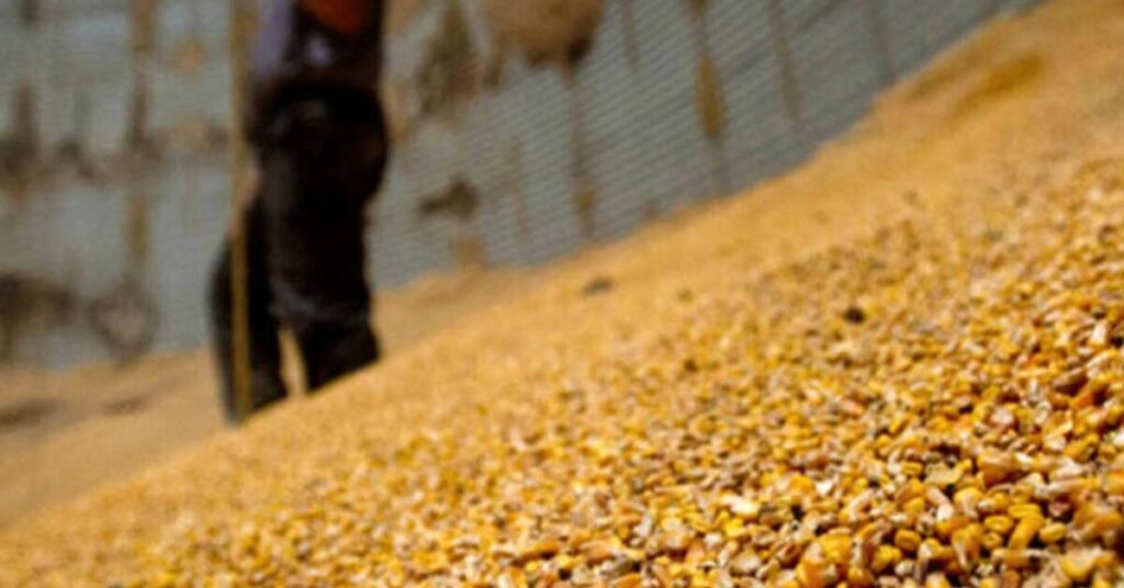 qual e a previsao da anec para o aumento no embarque de milho entre 8 e 14 de outubro