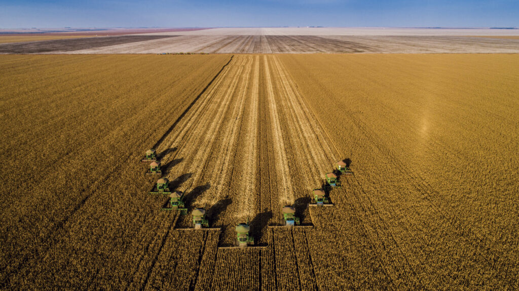 Qual é a previsão da SLC Agrícola para a área em 2023/24? 2 qual e a previsao da slc agricola para a area em 2023 24