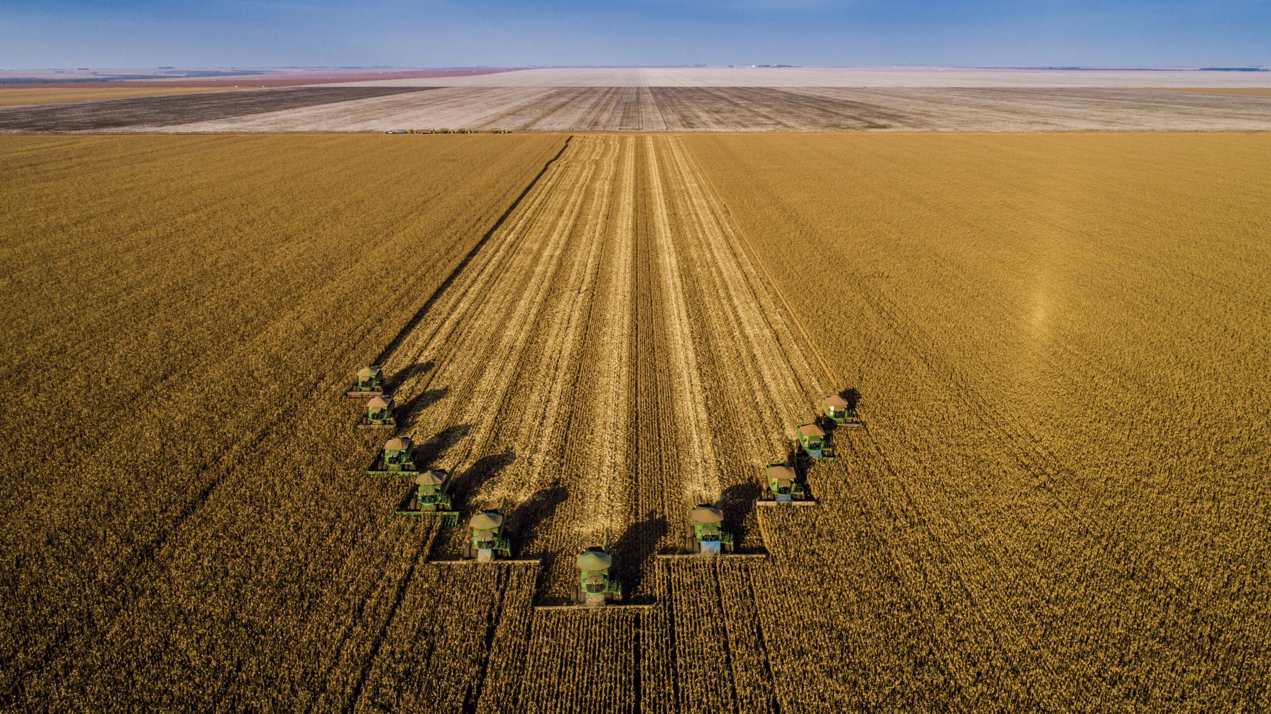 Qual é a previsão da SLC Agrícola para a área em 2023/24? 13 qual e a previsao da slc agricola para a area em 2023 24