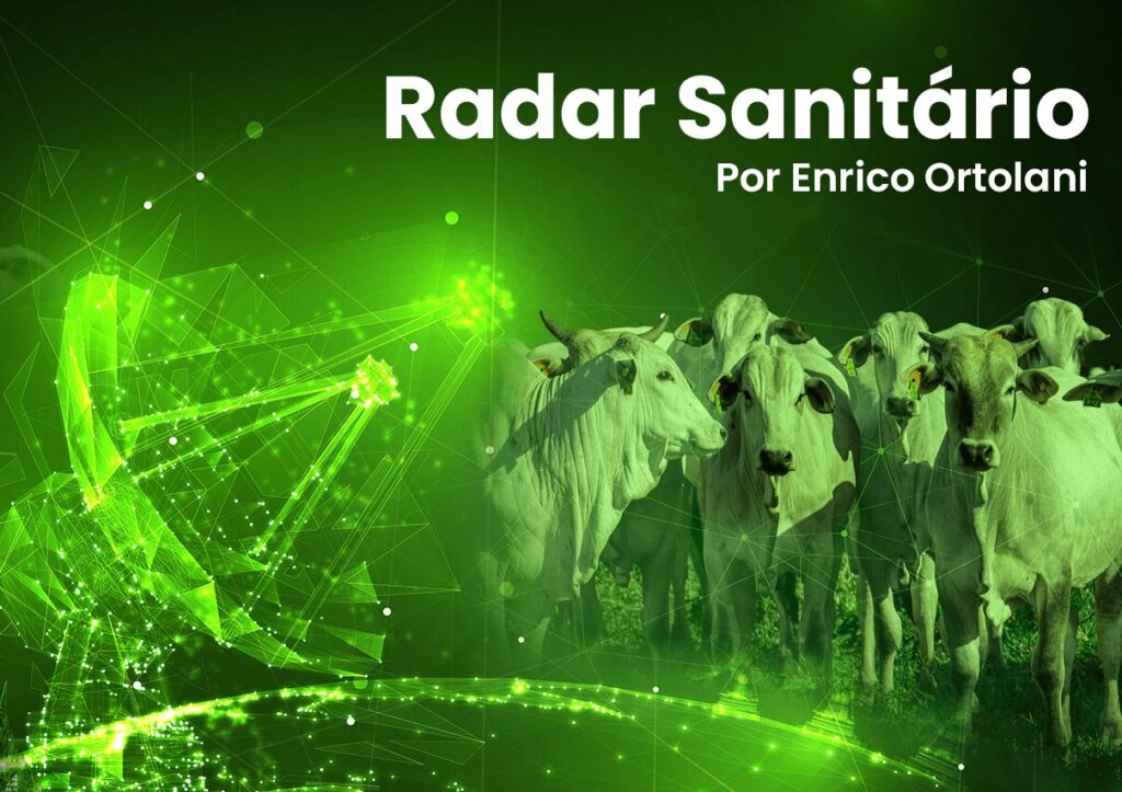 raio x da propriedade e do animal • Portal DBO