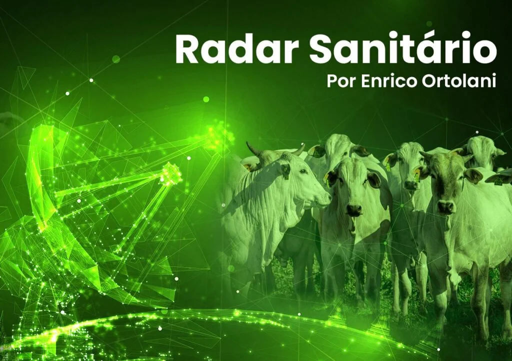 raio x da propriedade e do animal • Portal DBO