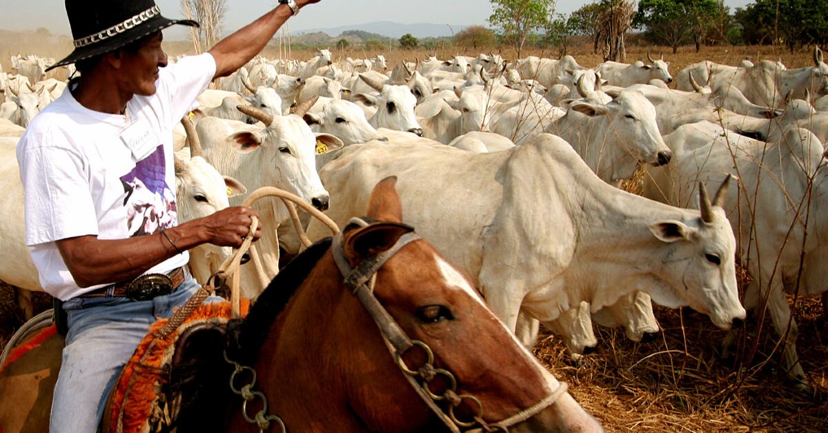 qual e o impacto da mao de obra qualificada na produtividade da fazenda de acordo com o portal dbo