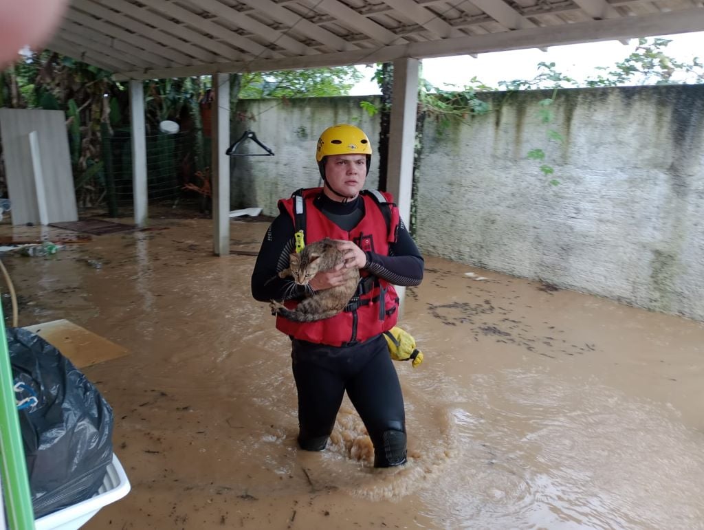 Qual é o número atual de municípios em situação de emergência em SC e qual é o nível de risco para este domingo?
