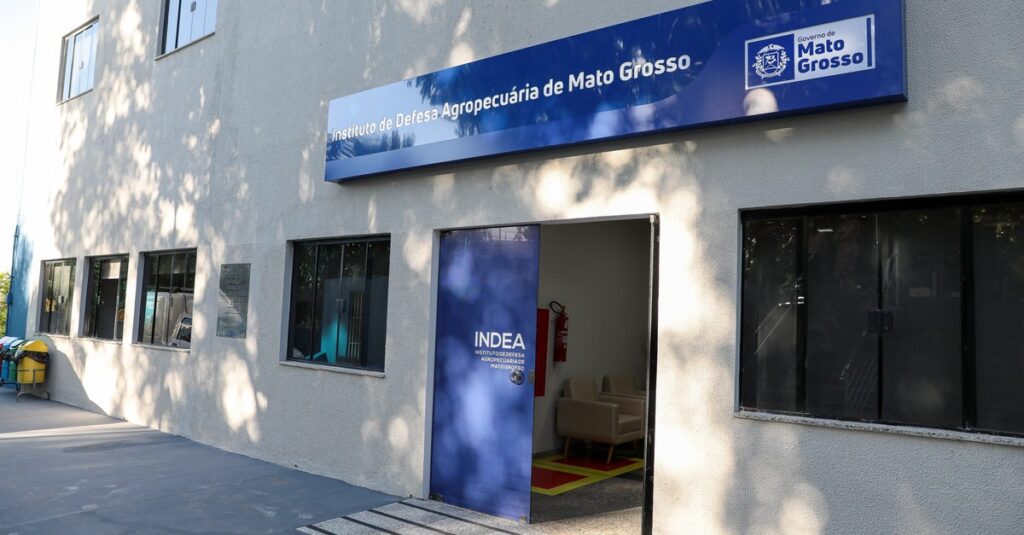 Prazo de vacinação obrigatória contra brucelose em MT encerra nesta segunda (31)