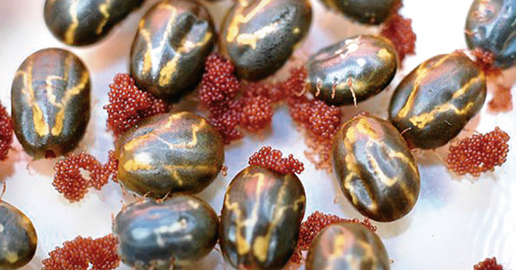 qual e o tema da palestra no rs no portal dbo sobre a selecao genomica de bovinos resistentes ao carrapato