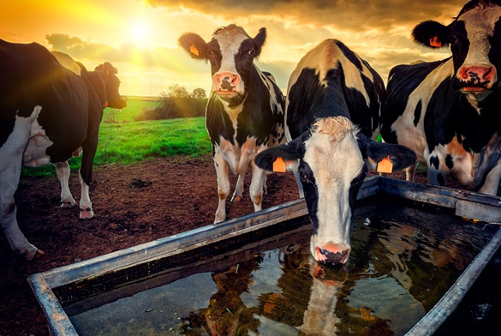 qual foi a variacao do custo de producao de leite em setembro de acordo com a embrapa gado de leite