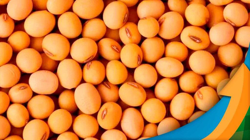 Qual foi o impacto do feriado parcial na movimentação da soja em Chicago? 2 qual foi o impacto do feriado parcial na movimentacao da soja em chicago