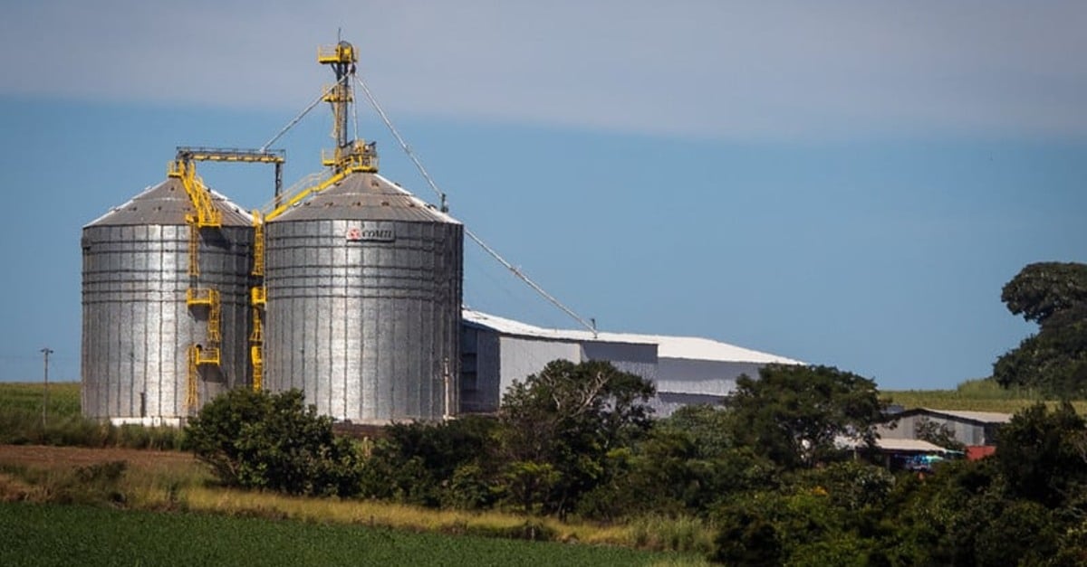 Soja representa 51% dos grãos armazenados nos silos de Roraima em 2022