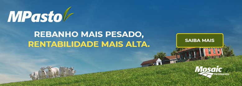 Qual o status das exportações de carne bovina do Brasil em outubro de 2023?