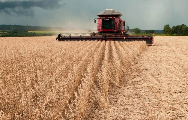 qual sera a producao agricola em goias em 2023 1