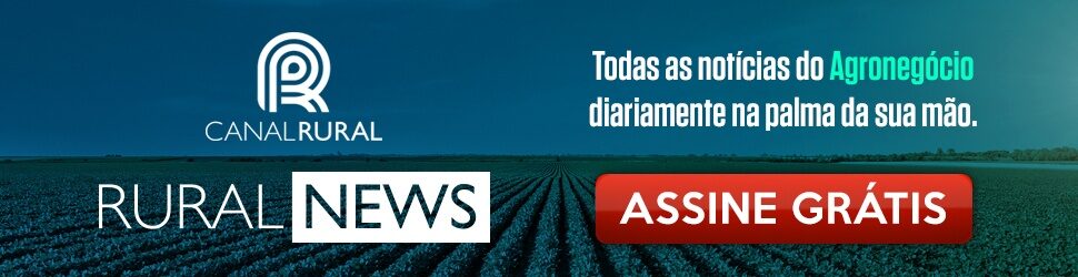 Quanto vale um animal de primeira linha? Vamos fazer o teste?