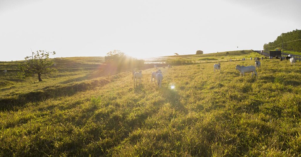 quem saira na frente ao aceitar rapidamente as mudancas climaticas no portal dbo