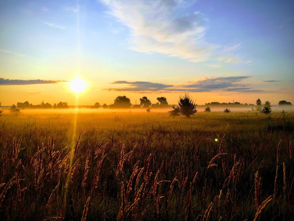 quem sofre mais com o calor 1