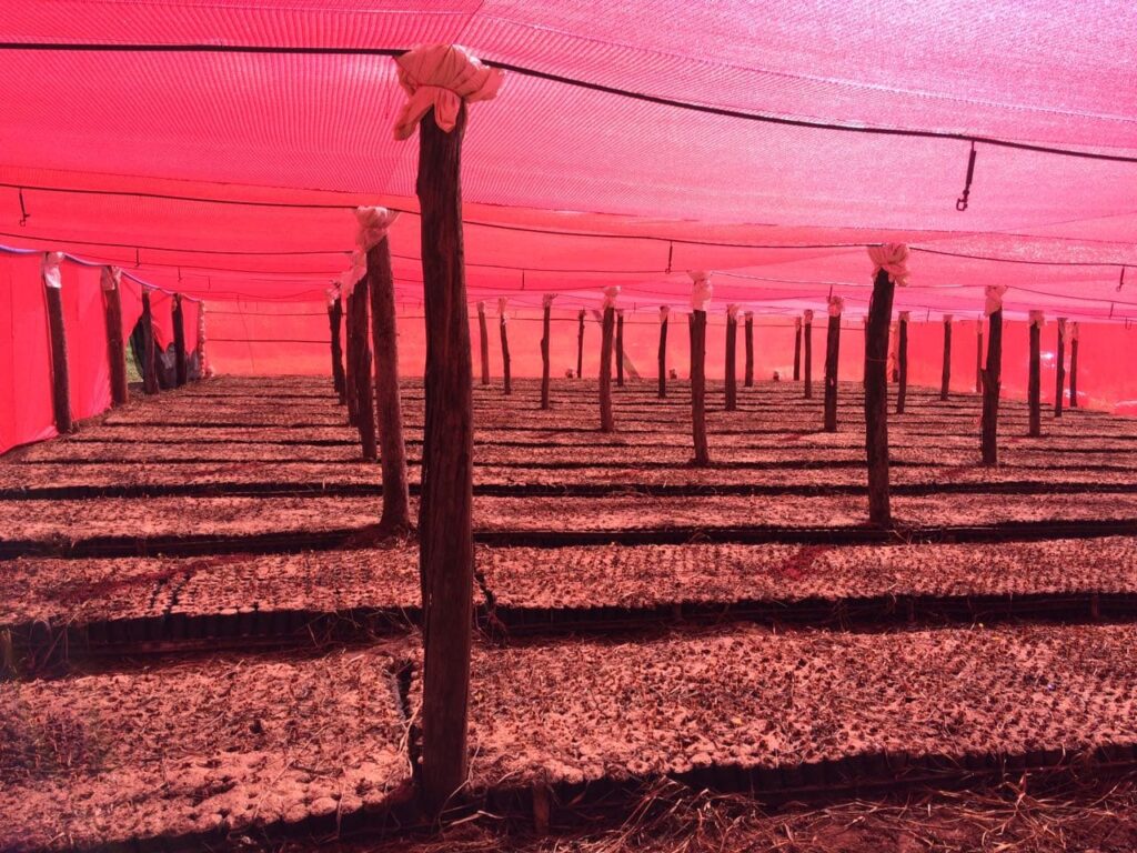 tela vermelha ou preta? Veja a diferença entre elas