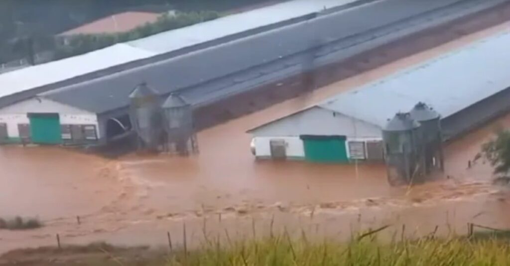 Crise climática deixa agropecuária do Sul em situação crítica