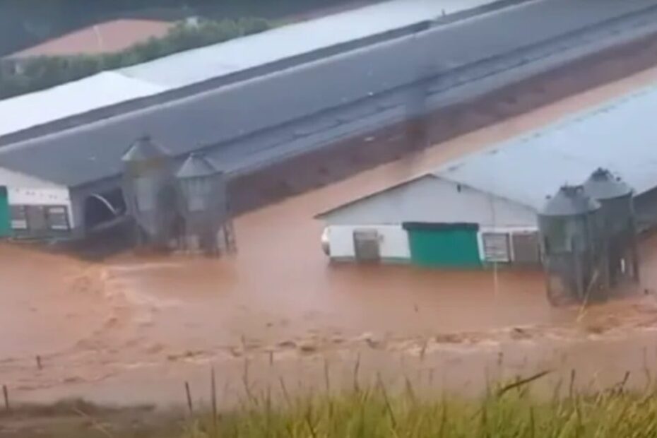 Crise climática deixa agropecuária do Sul em situação crítica