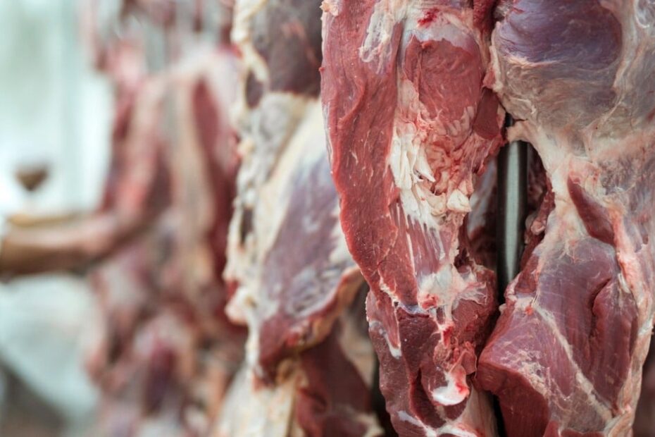 Carne bovina: exportações registram bom ritmo no acumulado do ano
