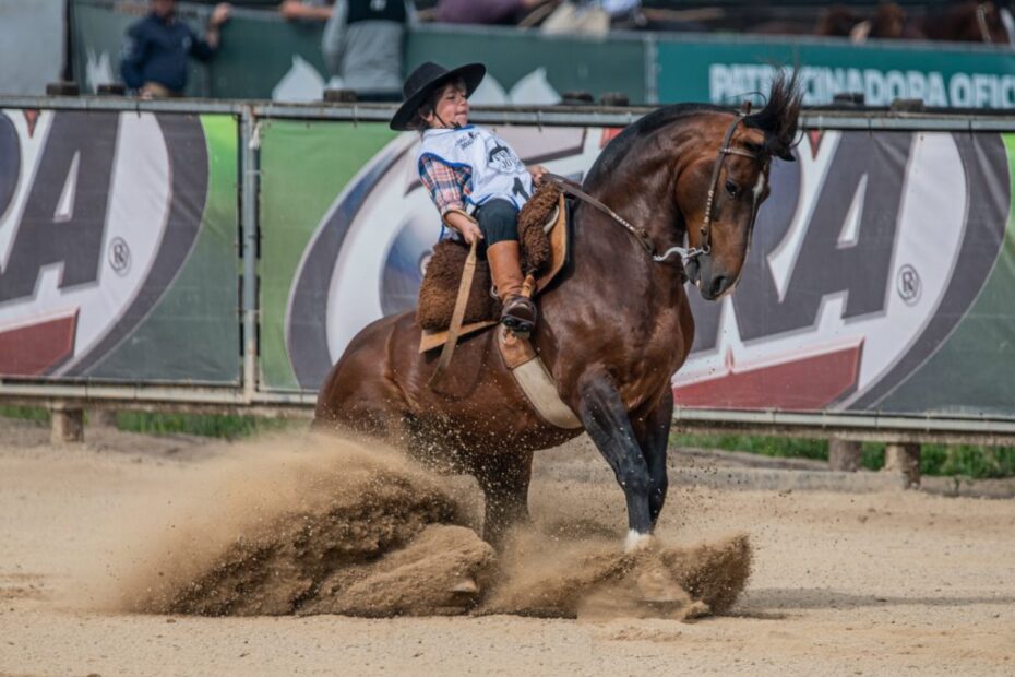 Futuro do Cavalo Crioulo faz sua estréia na arena coberta para a final do Freio Jovem
