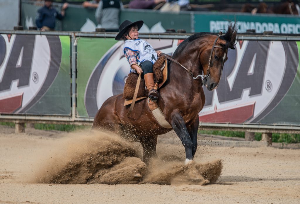 Futuro do Cavalo Crioulo faz sua estréia na arena coberta para a final do Freio Jovem