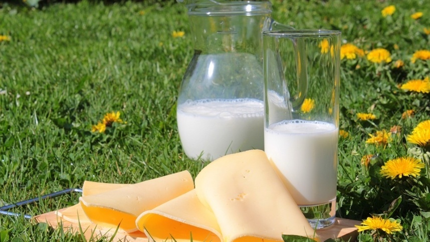 Índice da cesta de derivados lácteos sobe 4,10%