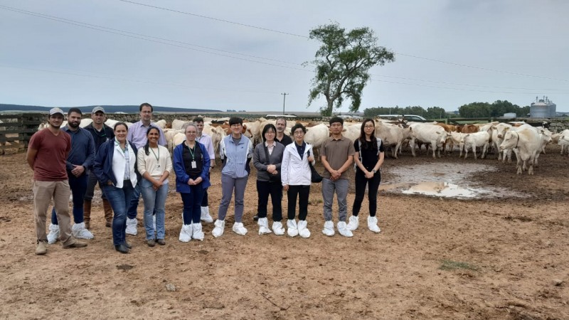 Estado recebe missão da Coreia do Sul que veio conhecer o controle sanitário de bovinos