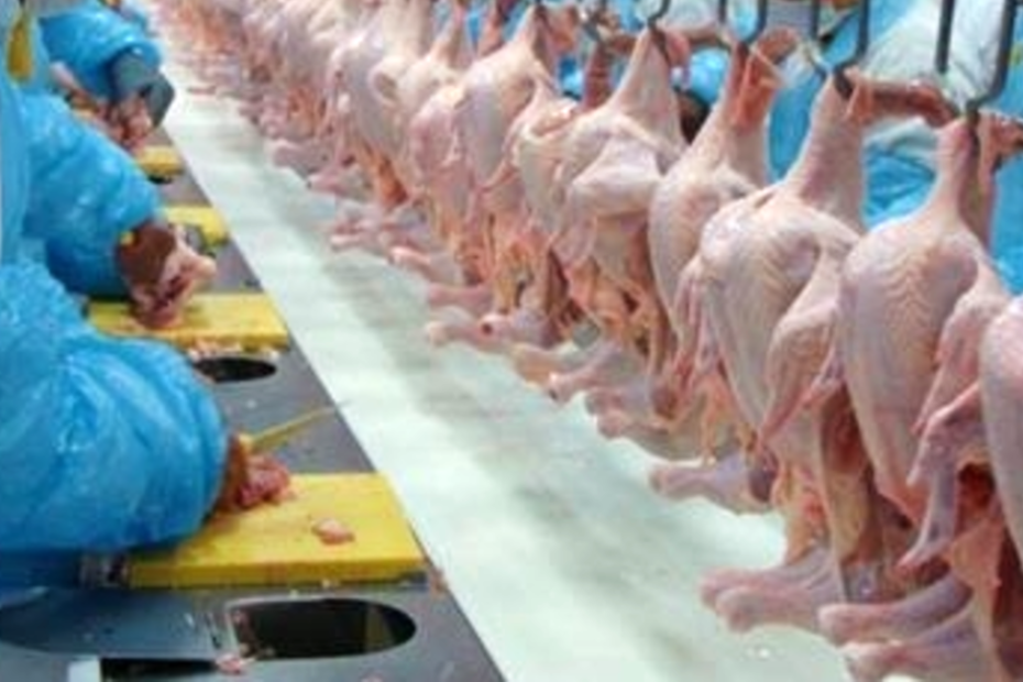 Exportações brasileiras de carne de frango crescem 2% em outubro, diz ABPA • Portal DBO