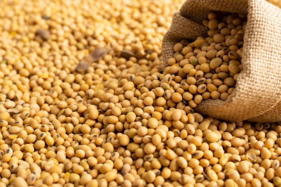 Reduzir teor de umidade da soja pode trazer prejuízo de R$ 3,6 bi ao produtor