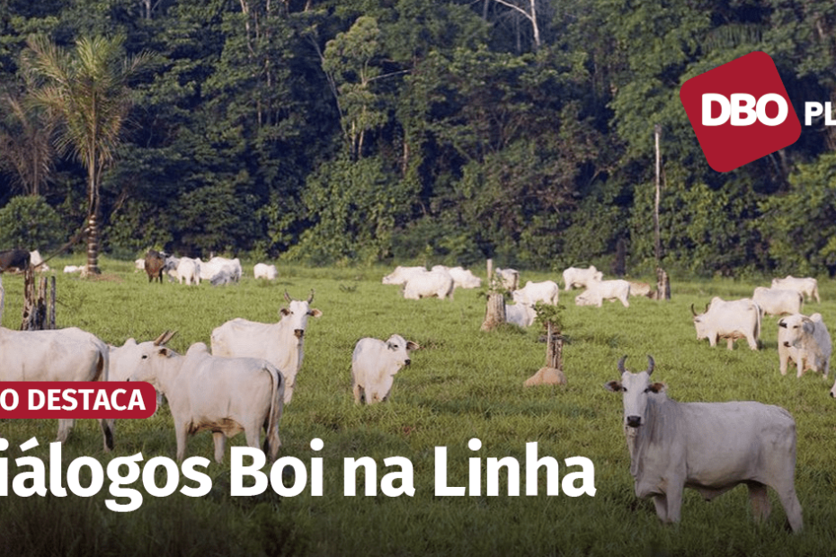Quais são os desafios e as demandas para o desenvolvimento sustentável da pecuária na Amazônia Legal? • Portal DBO